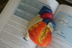 tver state medical university